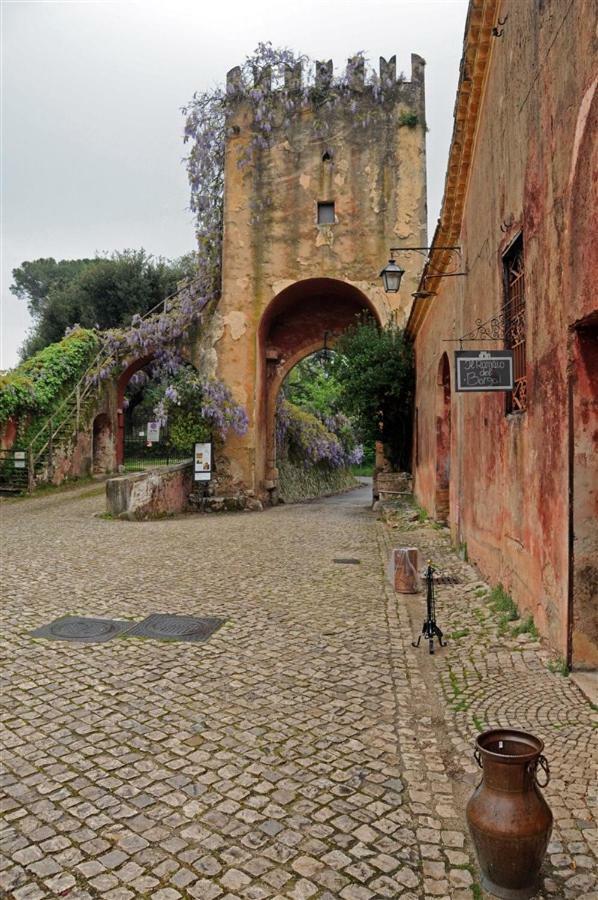 Casa Fra Gli Ulivi Di Giuseppe Guest House Sonnino Exterior photo